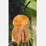 مگس بالدار اورجینال 40 سانتی